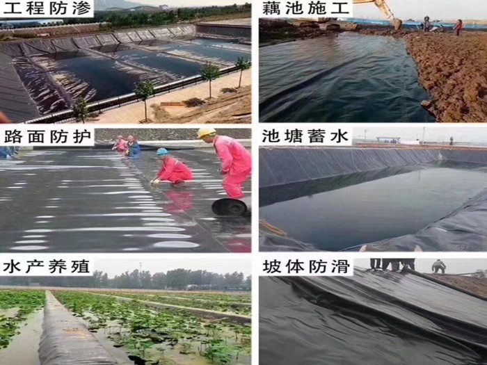 1-200323094333 - 副本.jpg