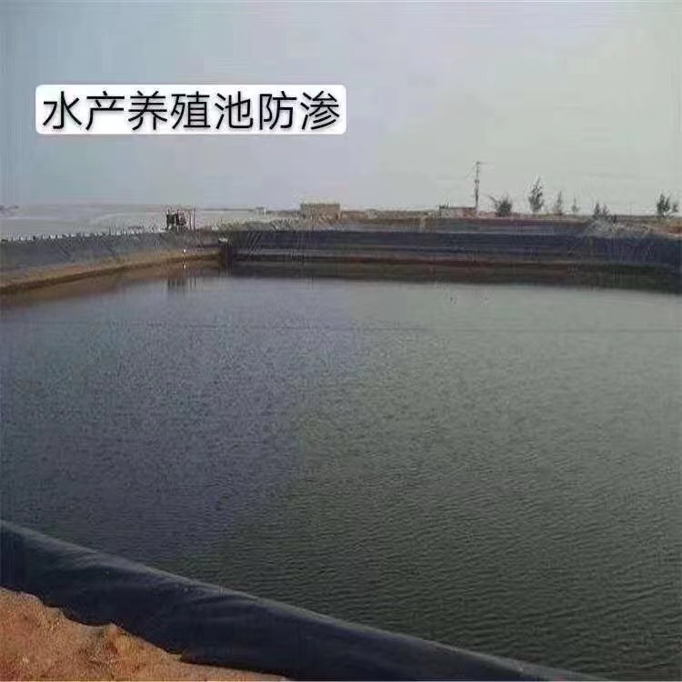 水產養殖池防滲.jpg