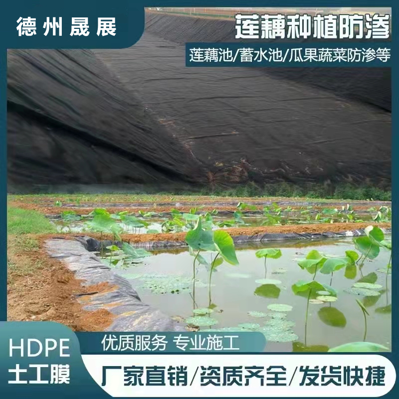魚塘防滲、蓮藕養(yǎng)殖 防滲膜的選用